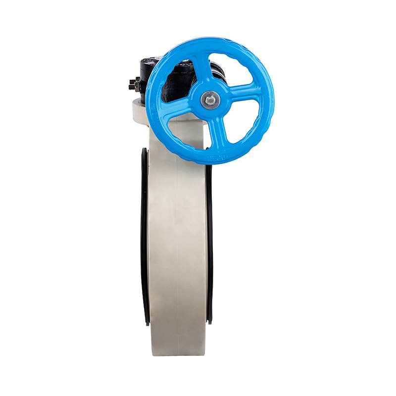 PPH D371X-10S Worm-Gear Butterfly Valve DN32-1000 GB Standar