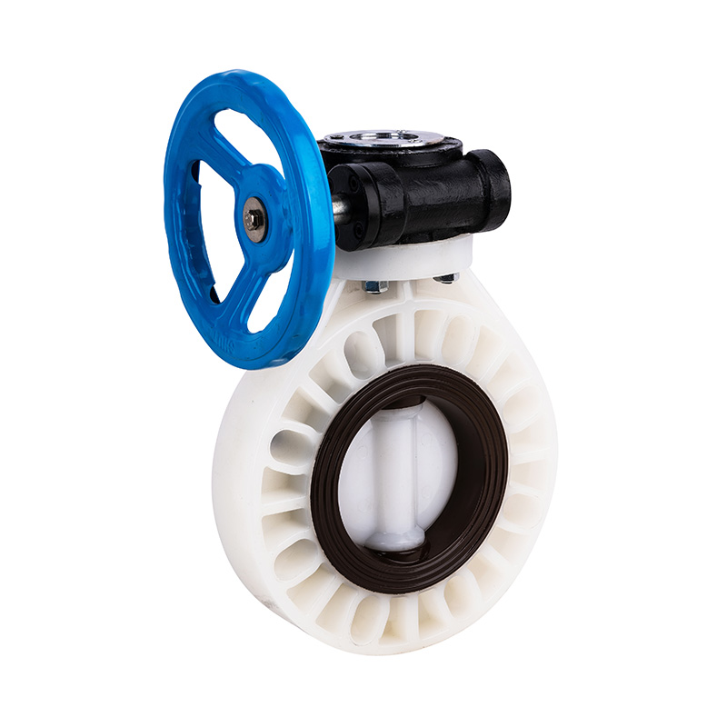 PVDF D371X-10F Worm-Gear Butterfly Valve DN40-1000 40A-1000A Standar JIS