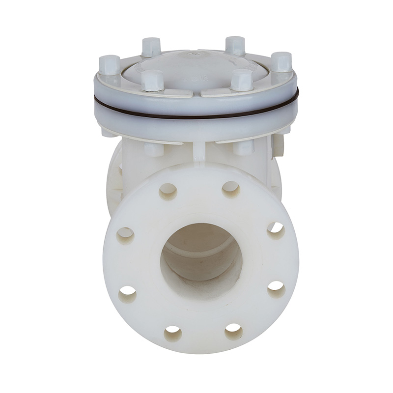 Katup Periksa Tipe Ayun PVDF H44F-10F Standar DN15-300 GB