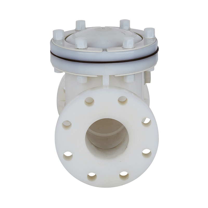 Katup Periksa Tipe Ayun PVDF H44F-10F DN15-300 1/2'-12' Standar ANSI