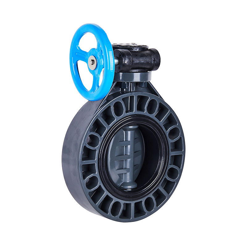 FRPP D371X-10S Worm-Gear Butterfly Valve DN40-1000 1-1/2'-30' Standar ANSI