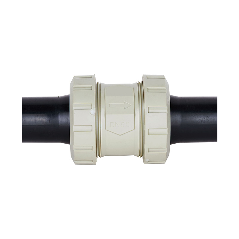 PPH H61F-10S PE Butt Welded Check Valve Standar DN50 GB
