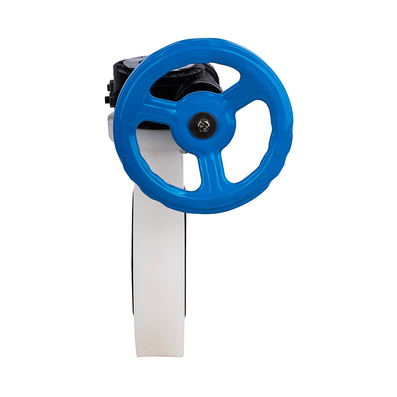 PVDF D371X-10F Worm-Gear Butterfly Valve DN40-1000 40A-1000A Standar JIS