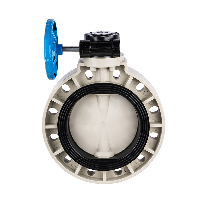 PPH D371X-10S Worm-Gear Butterfly Valve DN40-1000 40A-1000A Standar JIS