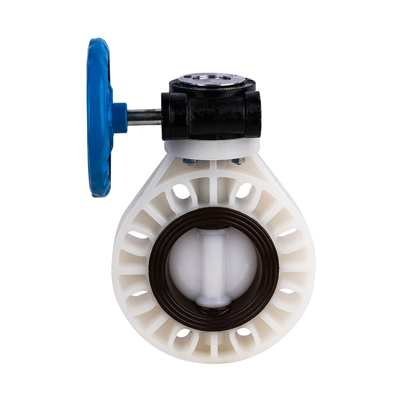 PVDF D371X-10F Worm-Gear Butterfly Valve DN40-1000 1-1/2'-30' Standar ANSI