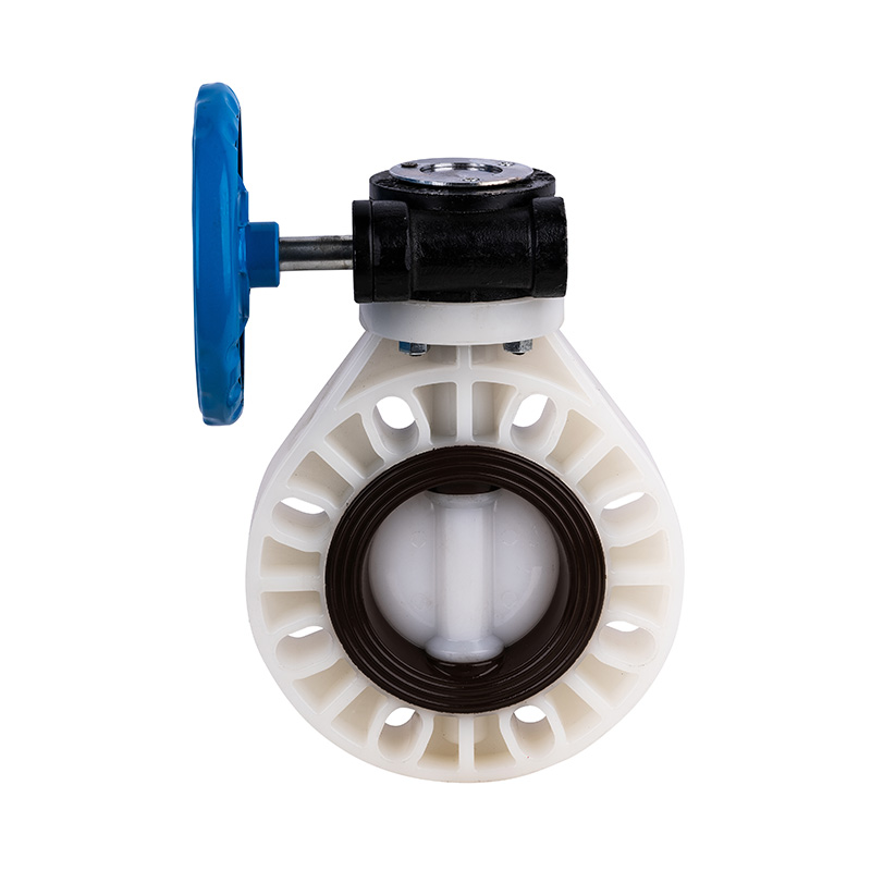 PVDF D371X-10F Worm-Gear Butterfly Valve DN40-1000 40A-1000A Standar JIS